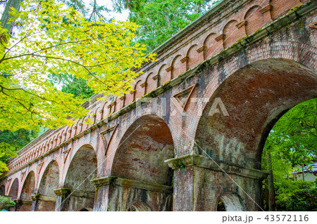 南禅寺 夏の水路閣 南禅寺 夏の水路閣 43572116