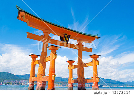 夏の宮島 厳島神社 大鳥居 43572214