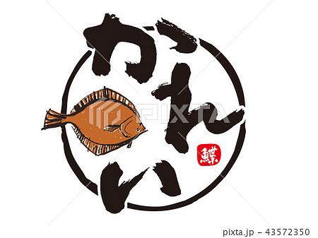 鰈 筆文字 鰈 筆文字 43572350