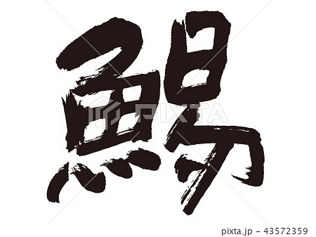 するめ　鯣　筆文字 43572359