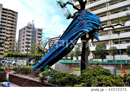 2018年9月4日台風21号被害５ 43572373