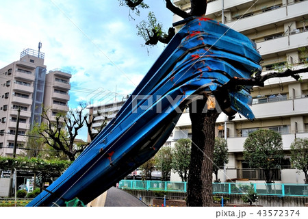 2018年9月4日台風21号被害6 2018年9月4日台風21号被害6 43572374