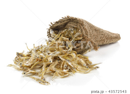 Small dried fish on white background Small dried fish on white background 43572543