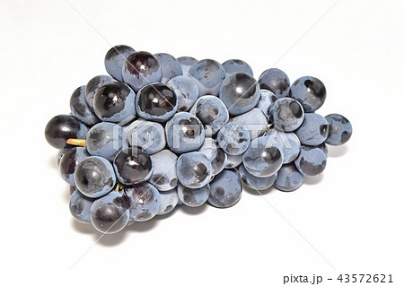 ぶどう（ベリーA） 43572621
