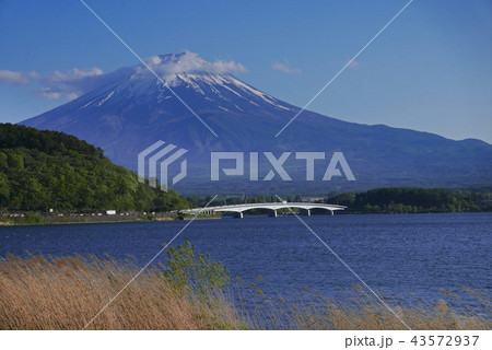 湖 富士山 旅行 風景 湖 富士山 旅行 風景 43572937