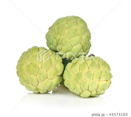 Custard apple isolated on white background,annona 43573103