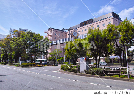 大船駅東口の風景 大船駅東口の風景 43573267