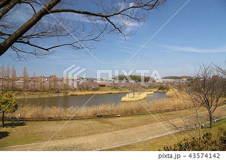 打上川治水緑地 (寝屋川市) 打上川治水緑地 (寝屋川市) 43574142