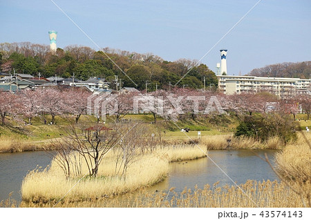 打上川治水緑地 (寝屋川市) 打上川治水緑地 (寝屋川市) 43574143