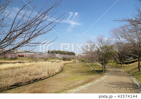 打上川治水緑地 (寝屋川市) 43574144