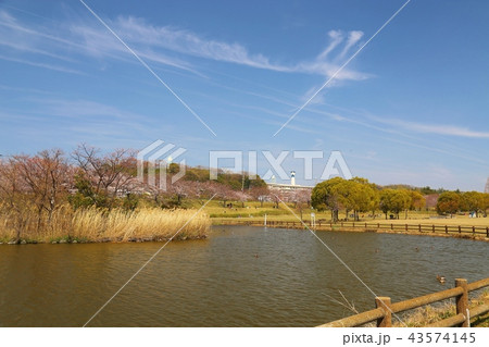 打上川治水緑地 (寝屋川市) 43574145