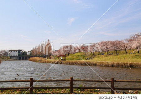 打上川治水緑地 (寝屋川市) 43574148