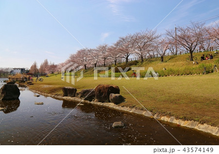 打上川治水緑地 (寝屋川市) 43574149