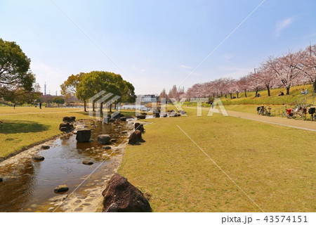 打上川治水緑地 (寝屋川市) 打上川治水緑地 (寝屋川市) 43574151