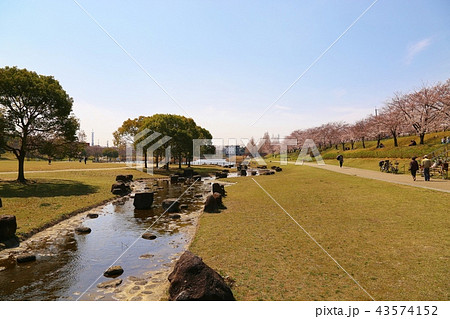 打上川治水緑地 (寝屋川市) 打上川治水緑地 (寝屋川市) 43574152