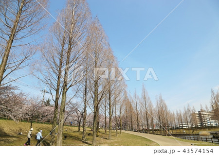 打上川治水緑地 (寝屋川市) 43574154