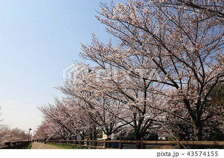 打上川治水緑地 (寝屋川市) 打上川治水緑地 (寝屋川市) 43574155