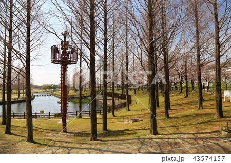 打上川治水緑地 (寝屋川市) 打上川治水緑地 (寝屋川市) 43574157