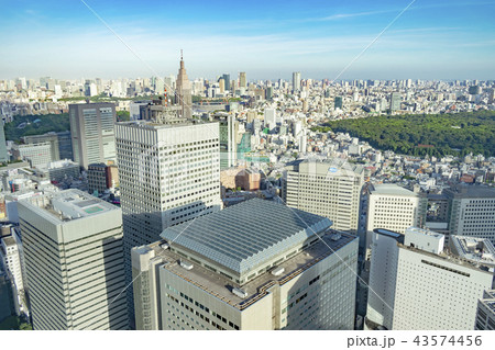東京都庁からの眺望 43574456