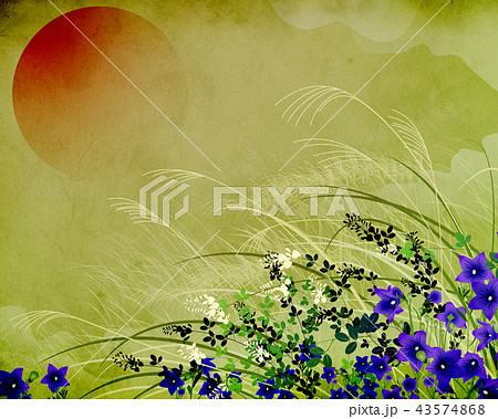 月夜の草原赤 43574868