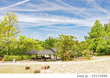 新潟県立鳥屋野潟公園 43574898