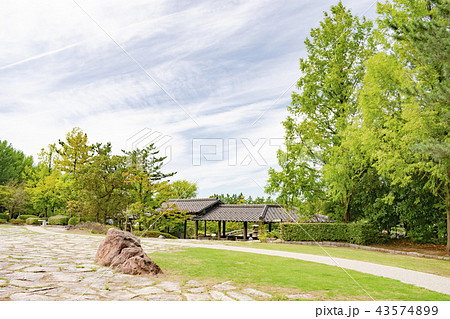 新潟県立鳥屋野潟公園 新潟県立鳥屋野潟公園 43574899