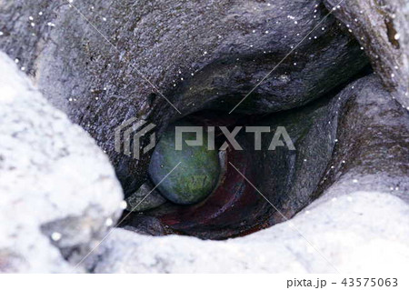 [長崎県]小値賀島・ポットホール 43575063