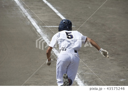 高校野球 43575246