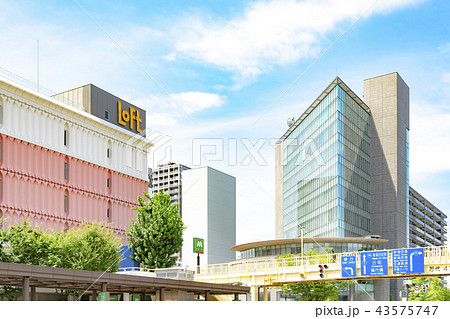新潟市万代の街並み 新潟市万代の街並み 43575747