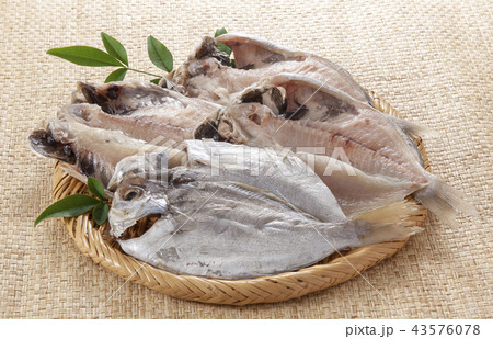 いぼだいの干もの 43576078