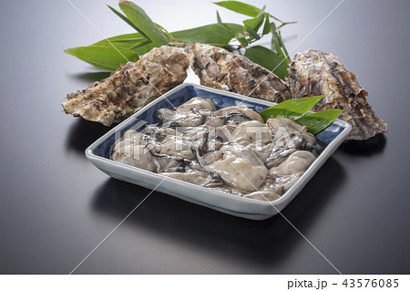 牡蠣のむき身 43576085