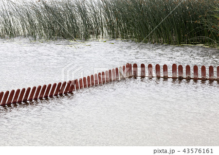 low wooden fence in the water low wooden fence in the water 43576161