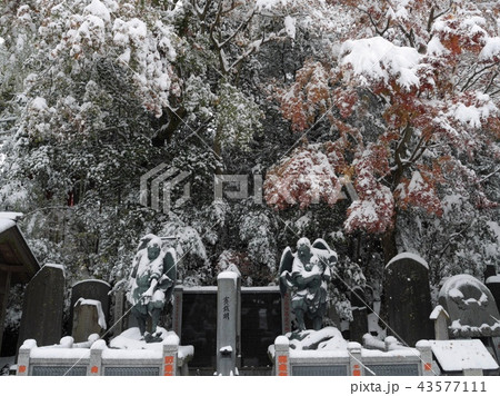 雪の日の薬王院 43577111