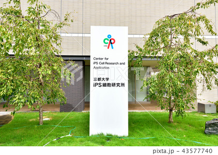 京都大学iPS細胞研究所 京都大学吉田キャンパス 医学部・病院・薬学部構内 京都大学iPS細胞研究所 京都大学吉田キャンパス 医学部・病院・薬学部構内 43577740