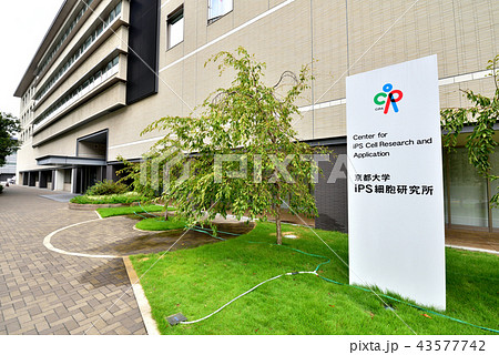 京都大学iPS細胞研究所　京都大学吉田キャンパス　医学部・病院・薬学部構内 43577742