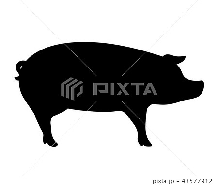 豚シルエットのイラスト素材 43577912 Pixta