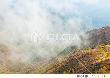 群馬県 白根山の紅葉 群馬県 白根山の紅葉 43578719