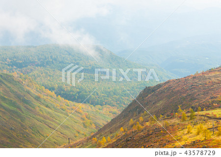 群馬県 白根山の紅葉 群馬県 白根山の紅葉 43578729