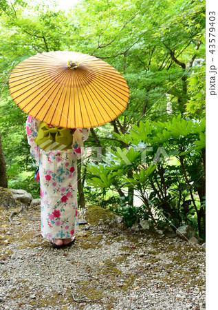 残暑お見舞い申し上げます 残暑お見舞い申し上げます 43579403