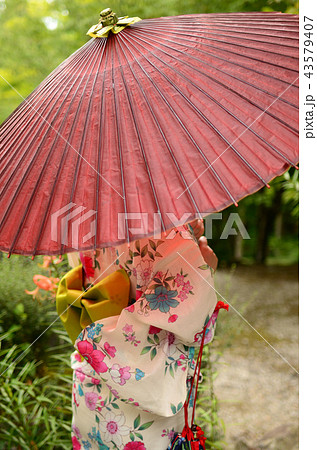 残暑お見舞い申し上げます 残暑お見舞い申し上げます 43579407