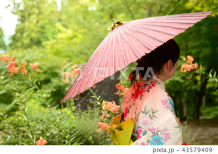 残暑お見舞い申し上げます 残暑お見舞い申し上げます 43579409