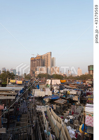 ドービー・ガート ドービー・ガート 43579569