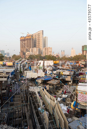 ドービー・ガート 43579577