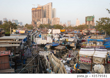 ドービー・ガート 43579581