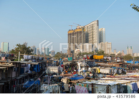 ドービー・ガート 43579586