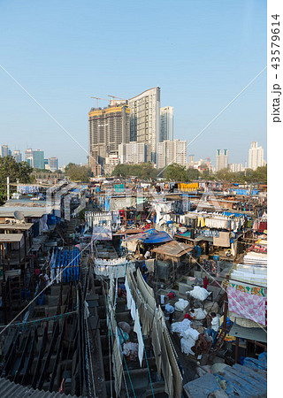 ドービー・ガート 43579614