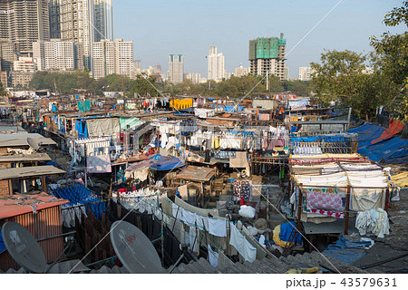 ドービー・ガート 43579631