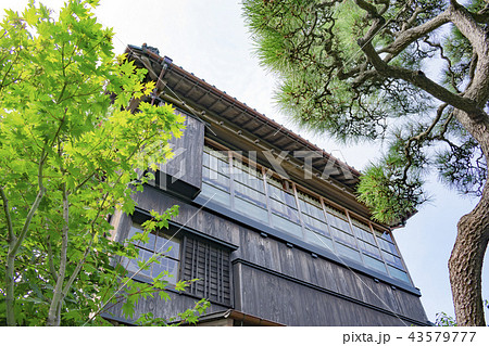 新潟市文化財 旧小澤家住宅 新潟市文化財 旧小澤家住宅 43579777