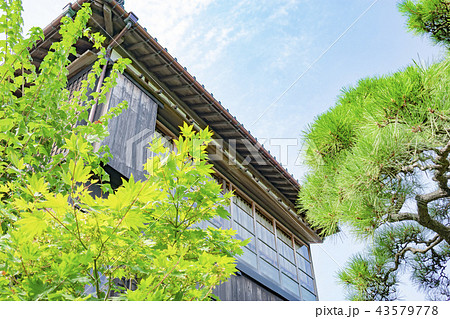 新潟市文化財 旧小澤家住宅 新潟市文化財 旧小澤家住宅 43579778