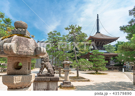 智恩寺の風景 43579890